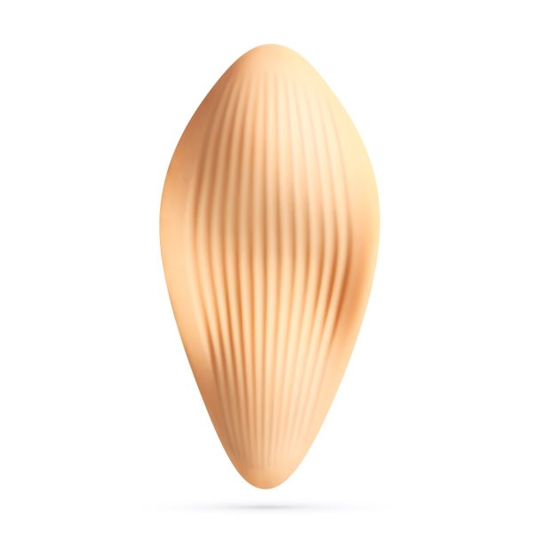 ATLANTIS VIBRADOR DE CUECA COM COMANDO À DISTÂNCIA CRUSHIOUS - Image 2