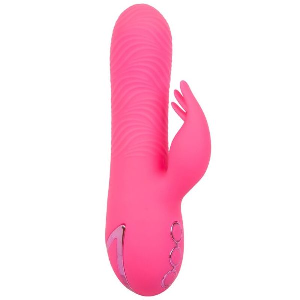 SACRAMENTO SWEETIE - VIBRADOR COELHO - Image 3